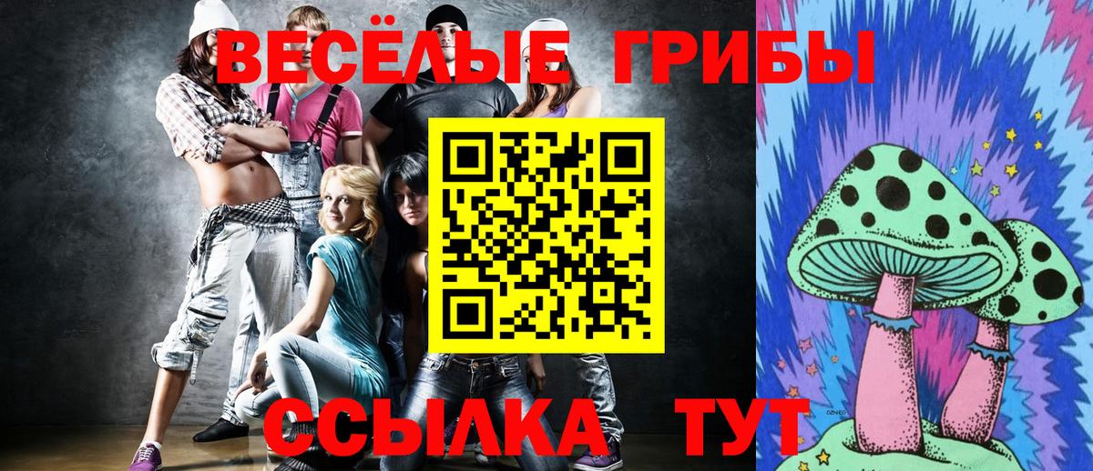 цена наркотик  Вход с VPN  Галлюциногенные грибы GOLDEN TEACHER  Чернушка  Галлюциногенные грибы MAGIC MUSHROOMS 